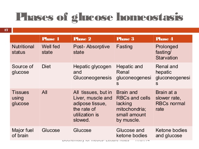 Fuel Metabolism with Fasting